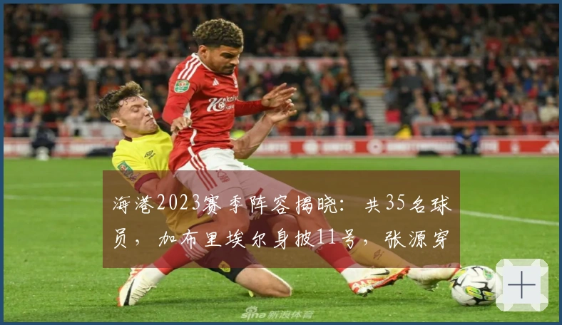 海港2023赛季阵容揭晓：共35名球员，加布里埃尔身披11号，张源穿戴6号